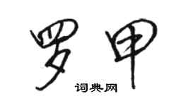 駱恆光羅甲行書個性簽名怎么寫