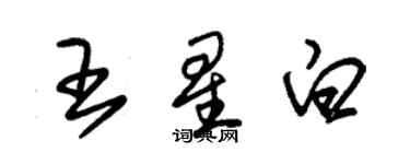 朱錫榮王星白草書個性簽名怎么寫