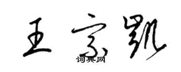 梁錦英王宗凱草書個性簽名怎么寫