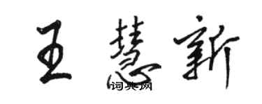 駱恆光王慧新行書個性簽名怎么寫