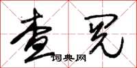 朱錫榮查閱草書怎么寫