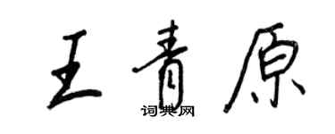 王正良王青原行書個性簽名怎么寫
