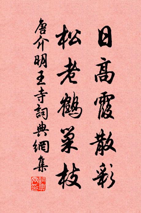 絮帽蒙頭霜月下，水村深夜看梅花 詩詞名句