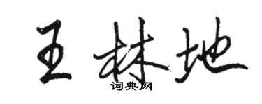 駱恆光王林地行書個性簽名怎么寫