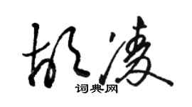 駱恆光胡凌草書個性簽名怎么寫