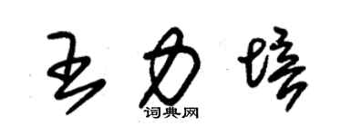 朱錫榮王力培草書個性簽名怎么寫