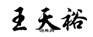 胡問遂王天裕行書個性簽名怎么寫