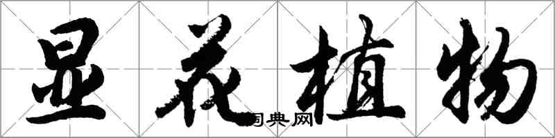 胡問遂顯花植物行書怎么寫