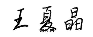 王正良王夏晶行書個性簽名怎么寫