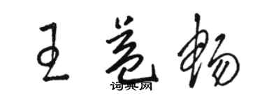 駱恆光王益暢草書個性簽名怎么寫