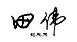 朱錫榮田偉草書個性簽名怎么寫