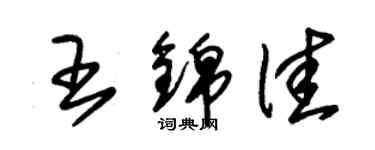 朱錫榮王錦佳草書個性簽名怎么寫