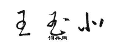 駱恆光王玉北草書個性簽名怎么寫