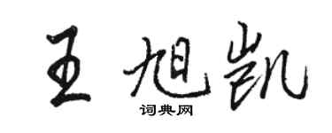 駱恆光王旭凱行書個性簽名怎么寫