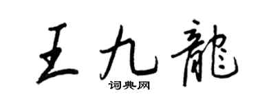 王正良王九龍行書個性簽名怎么寫