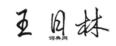 駱恆光王日林行書個性簽名怎么寫