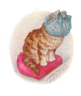 小貓毛毛的故事