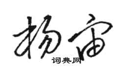 駱恆光楊宙草書個性簽名怎么寫