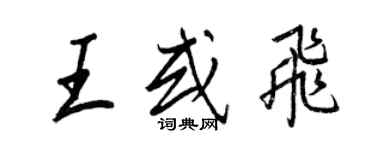 王正良王或飛行書個性簽名怎么寫