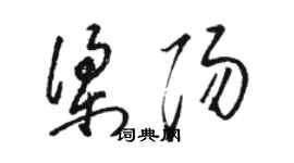 駱恆光梁陽草書個性簽名怎么寫