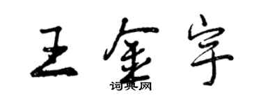 曾慶福王金宇行書個性簽名怎么寫