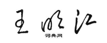 駱恆光王明江草書個性簽名怎么寫