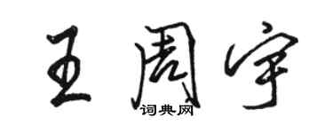 駱恆光王周宇行書個性簽名怎么寫