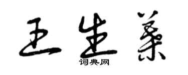 曾慶福王生葉草書個性簽名怎么寫