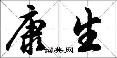 胡問遂康生行書怎么寫