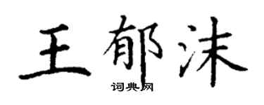 丁謙王郁沫楷書個性簽名怎么寫