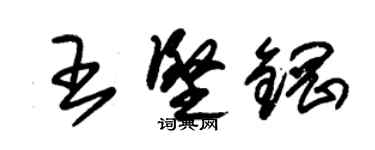 朱錫榮王堅鋼草書個性簽名怎么寫