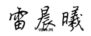 王正良雷晨曦行書個性簽名怎么寫