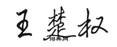 駱恆光王楚權行書個性簽名怎么寫