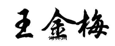 胡問遂王金梅行書個性簽名怎么寫