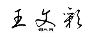 梁錦英王文彩草書個性簽名怎么寫