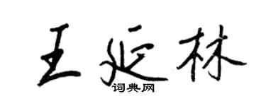 王正良王延林行書個性簽名怎么寫