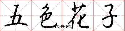 五色花子怎么寫好看