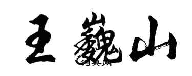 胡問遂王巍山行書個性簽名怎么寫