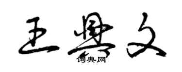 曾慶福王興文草書個性簽名怎么寫