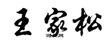 胡問遂王家松行書個性簽名怎么寫