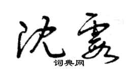 曾慶福沈霞草書個性簽名怎么寫