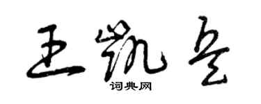 曾慶福王凱兵草書個性簽名怎么寫