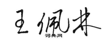 駱恆光王佩林草書個性簽名怎么寫