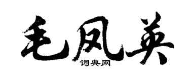 胡問遂毛鳳英行書個性簽名怎么寫