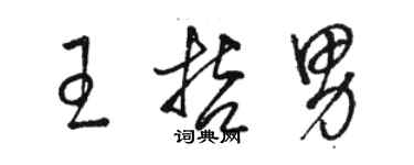 駱恆光王哲男草書個性簽名怎么寫