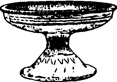 豆_豆介紹_歷史知識