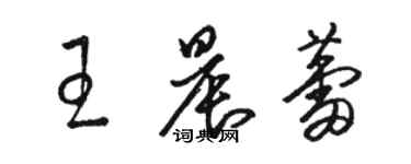 駱恆光王晨蕾草書個性簽名怎么寫