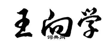 胡問遂王向學行書個性簽名怎么寫