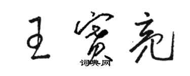 駱恆光王賽亮草書個性簽名怎么寫