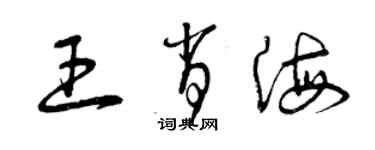 曾慶福王肖海草書個性簽名怎么寫